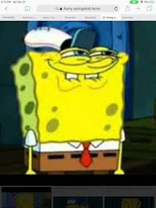 Meet your Posher, Lil